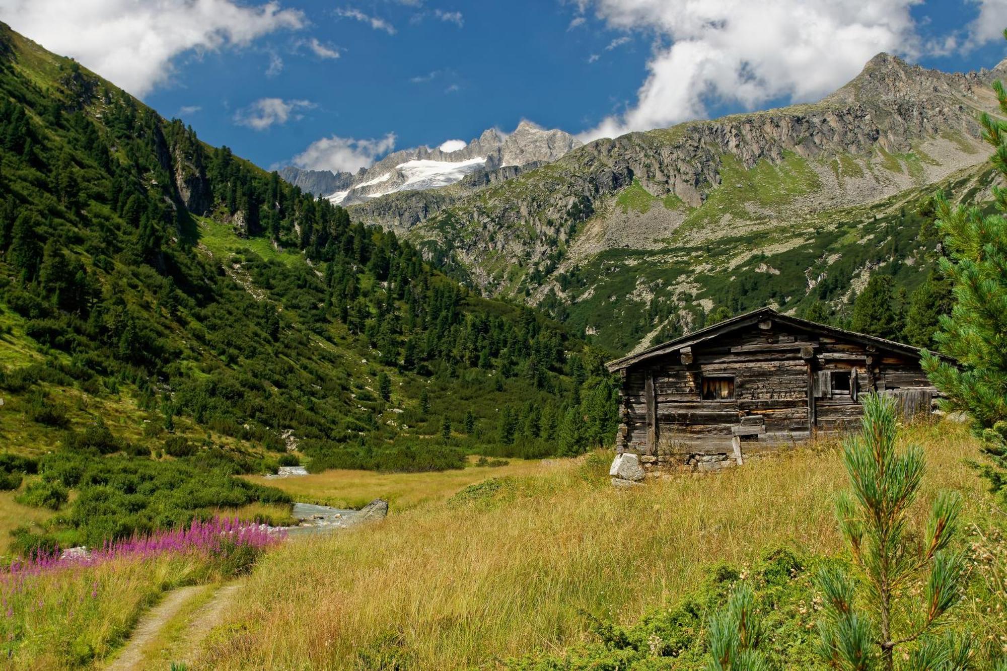 Appartements St. Leonhard Aschau Im Zillertal Zewnętrze zdjęcie